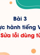 Bài 3 - Thực hành tiếng Việt Sửa lỗi dùng từ